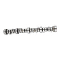 Camshaft Sloppy Stage 3 III .552" Hydraulic Roller for Chevy LS LS1 (2000–2006)