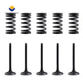 Cylinder Head Engine Valve & Valve Springs for Yamaha YFZ450 (2004–2009)