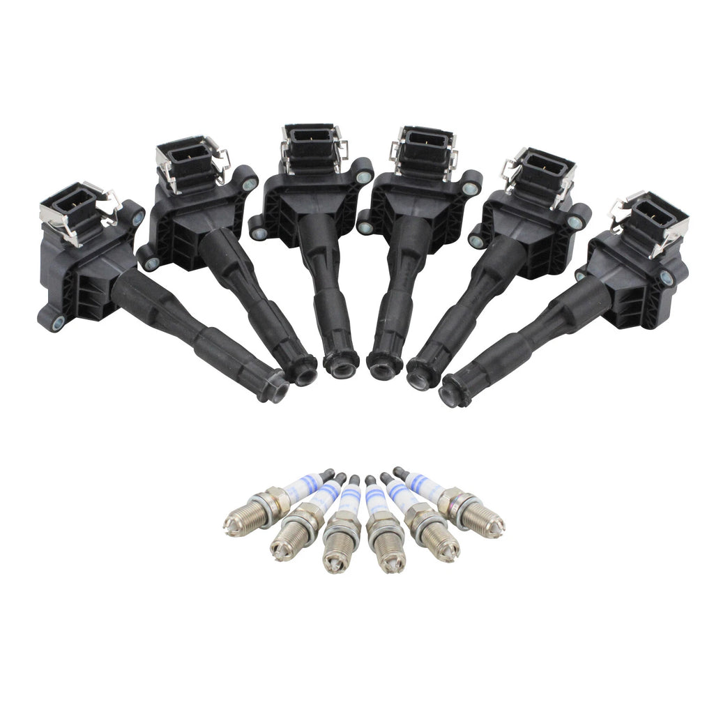 Set of 6 Ignition Coils & Platinum Spark Plugs for BMW E36 E39 E46 (1998–2006)