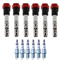Set of 6 Ignition Coils & NGK Iridium IX Spark Plugs for NSX A4 A6 GS300