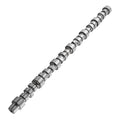Engine Camshaft For Cummins ISX 15 Engines 4298629 3685964 steel
