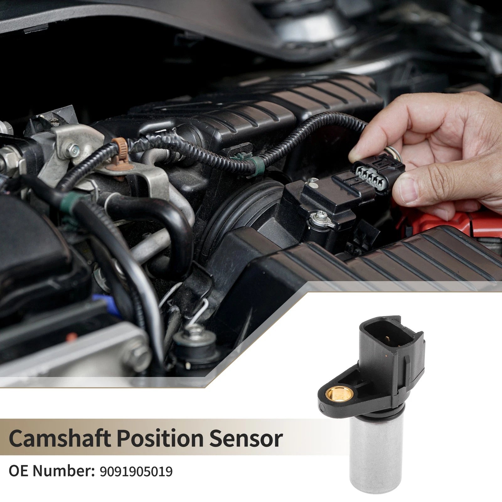 Camshaft Position Sensor for Toyota Paseo (1995–1998) No.9091905019