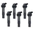 Ignition Coils W/Module 6x for BMW K1600GT (2010–2017)