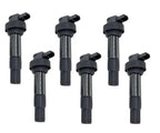 Ignition Coils W/Module 6x for BMW K1600GT (2010–2017)