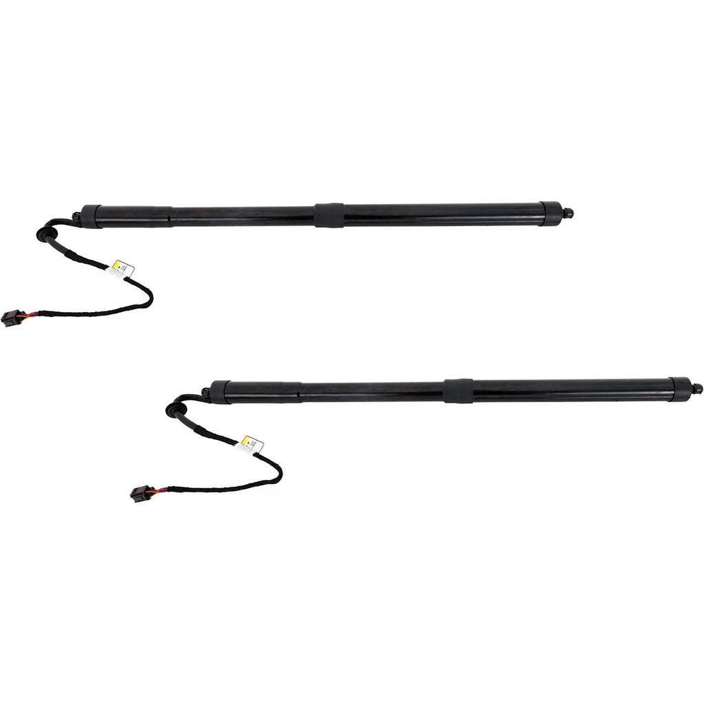 Liftgate Lift Supports Set of 2 for Range Rover