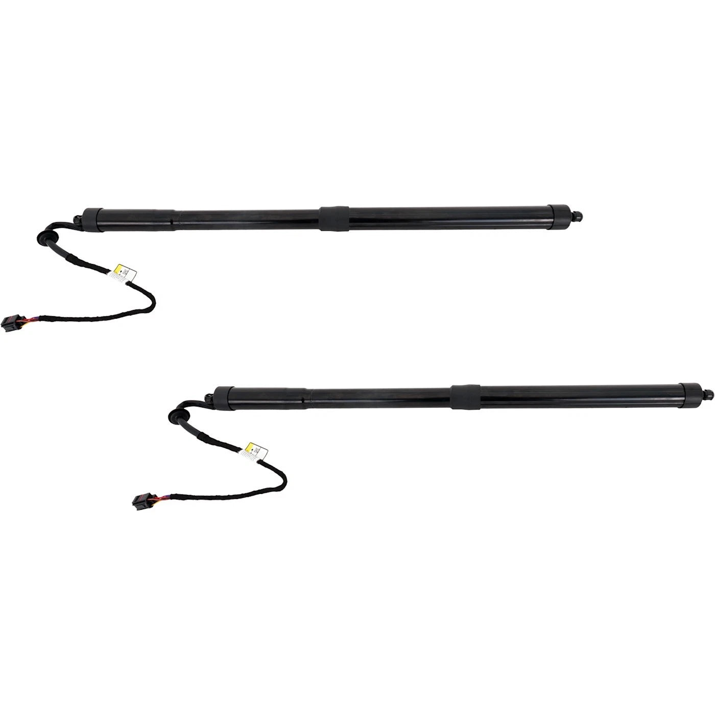 Liftgate Lift Supports Set of 2 for Range Rover