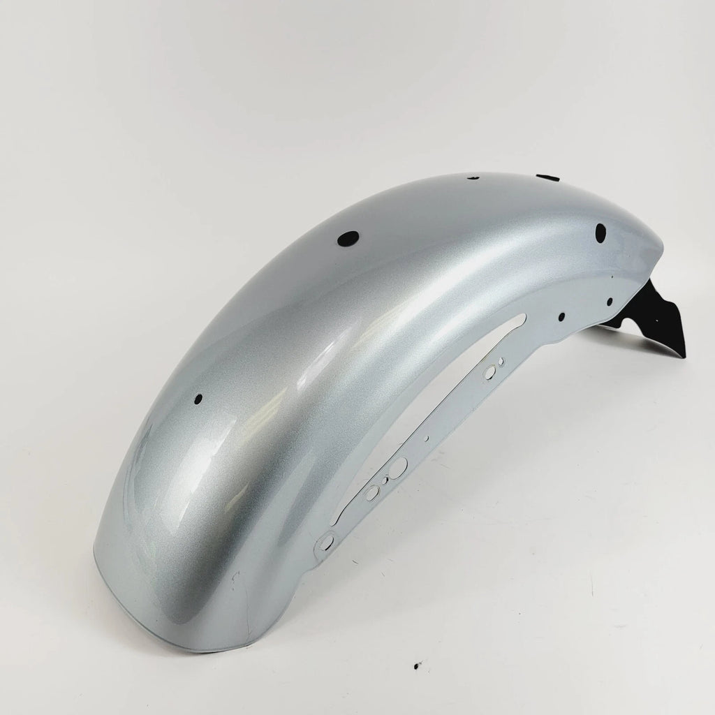 Rear Fender for Harley-Davidson Sportster XL1200NS (2020) Barracuda Silver