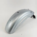 Rear Fender for Harley-Davidson Sportster XL1200NS (2020) Barracuda Silver