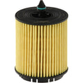 Oil Filters for Chevy Express Van, Olds SaVana, Le Sabre, Regal