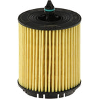 Oil Filters for Chevy Express Van, Olds SaVana, Le Sabre, Regal