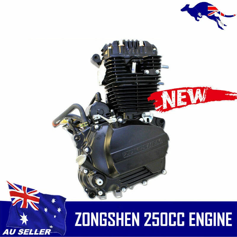 250cc Zongshen OHC Air Cooled Engine for Motorcycle (Chinese)