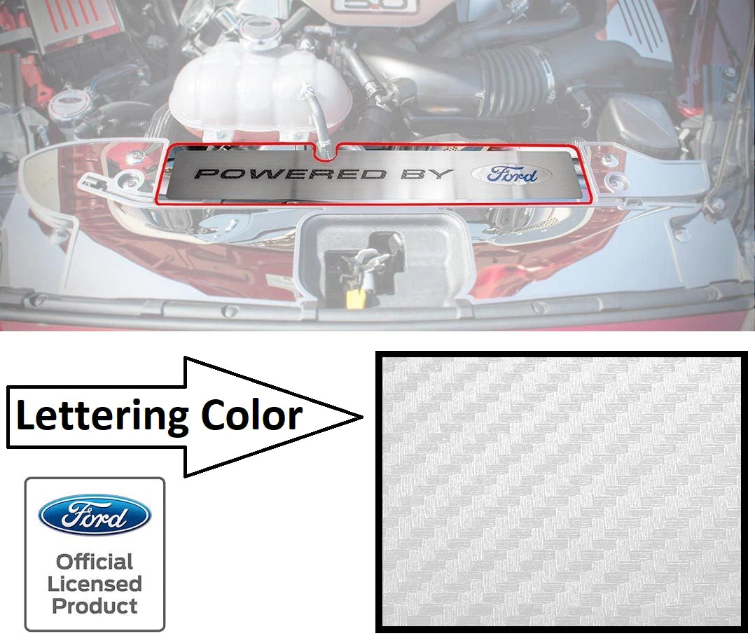 Radiator Cover Plate Replacement for Ford Mustang GT (2015–2017)