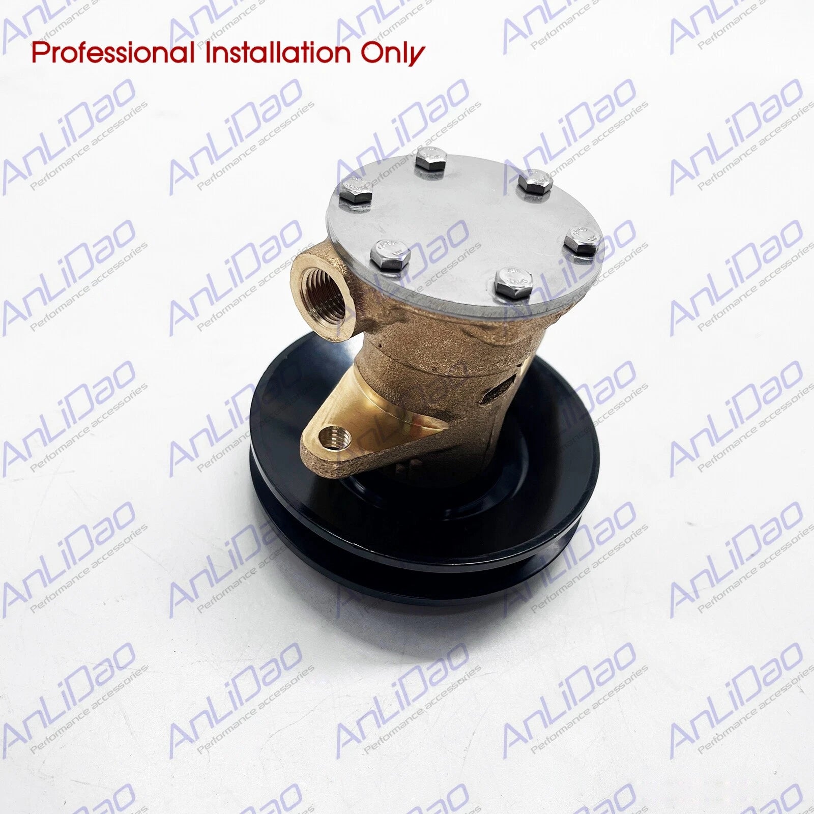 Water Pump for Yanmar 2GM20 3GM30 (728270-42002)