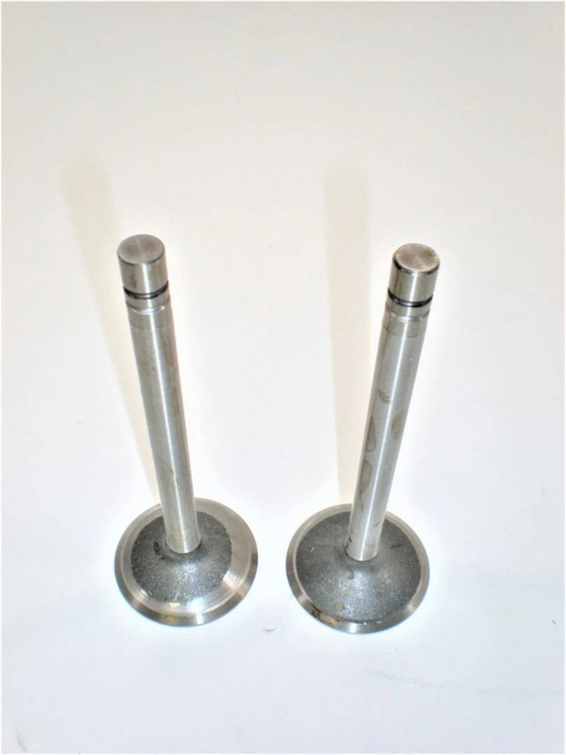 Set of 2 Intake Valves for Marine Engine (V-1722-5, V2506-5)
