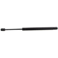 Lift Support for Ford Excursion 2000–2005 4WD Liftgate Gas-Charged