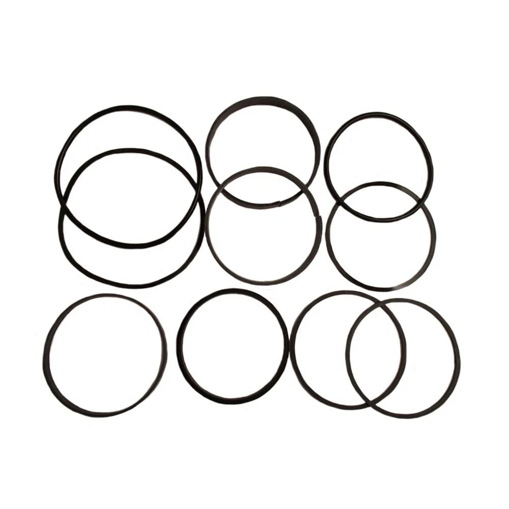 Hydraulic Cylinder Seal Kit for John Deere (1401-1401)