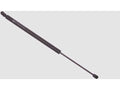 Hatch Strut for Mazda Tribute (2001–2006) DT715JC