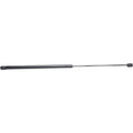 Lift Support for Jeep Wrangler (1997–2006)