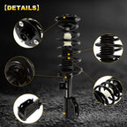 Set of 2 Complete Struts for Chevy Equinox & GMC Terrain