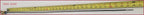 Transmission Indicator for Jeep Grand Cherokee 4.7L 5.7L V8 (2006–2008) 53013686AD