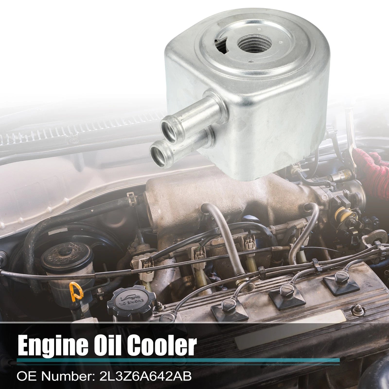 Engine Oil Cooler Housing Assembly for Ford Lincoln (2002–2006) 2L3Z6A642AB