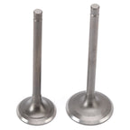 Intake & Exhaust Valves for Yamaha TT-R 225, TTR 230, XT 225 (1992–2025)