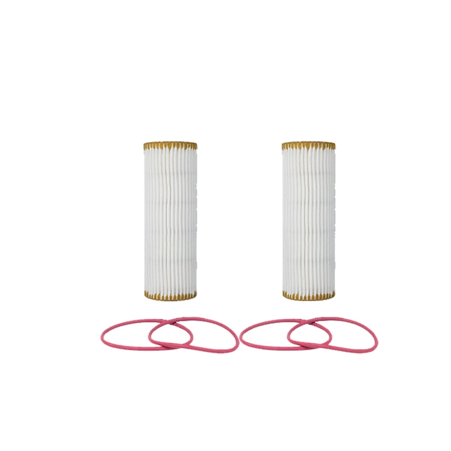 Set of 2 Engine Oil Filters for Ford Mustang 5.2 V8 (2016–2022)