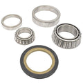 Front Wheel Bearing Kit for Massey Ferguson (R3167)