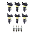 Denso 6 Ignition Coils & 6 Iridium Spark Plugs for Bravada Trailblazer (2002–2009)