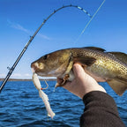 5pcs Fly Fishing Shrimp Lure Bait Hook for Seabass and Trout