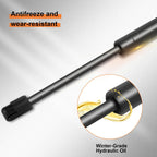 Set of 2 Hood & Trunk Lift Supports for Lexus GS350 (2007–2011)