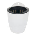 Wall Flower Pot Water-absorbing Box for Indoor Outdoor Plants (2023)