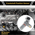 1 Pc Crankshaft Position Sensor No.2500606800 for Ford Focus (2011–2016)