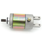 Starter Motor for Stels ATV 300B (LU019989, 2.1.01.6000)