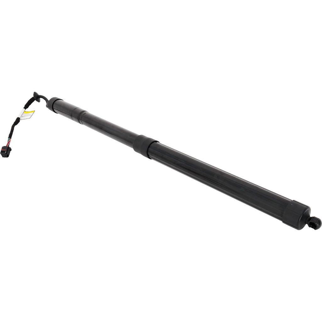 Liftgate Lift Supports for Range Rover (2013–2019)