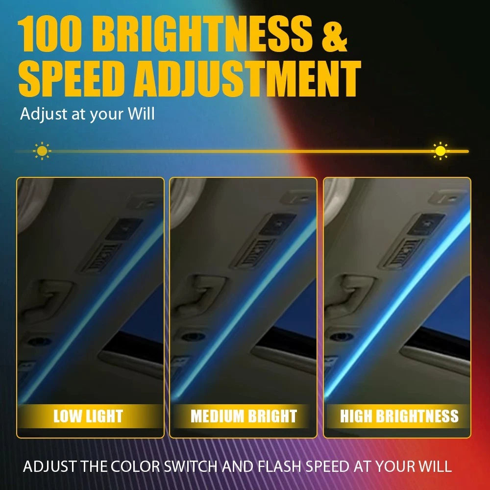 LED Sunroof Lights for Panoramic Skylight (RGB)