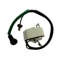 High Voltage Transformer PS6100 PS6100H for Automotive