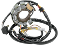 Stator for Rick's Motorsport Electric (21-554)