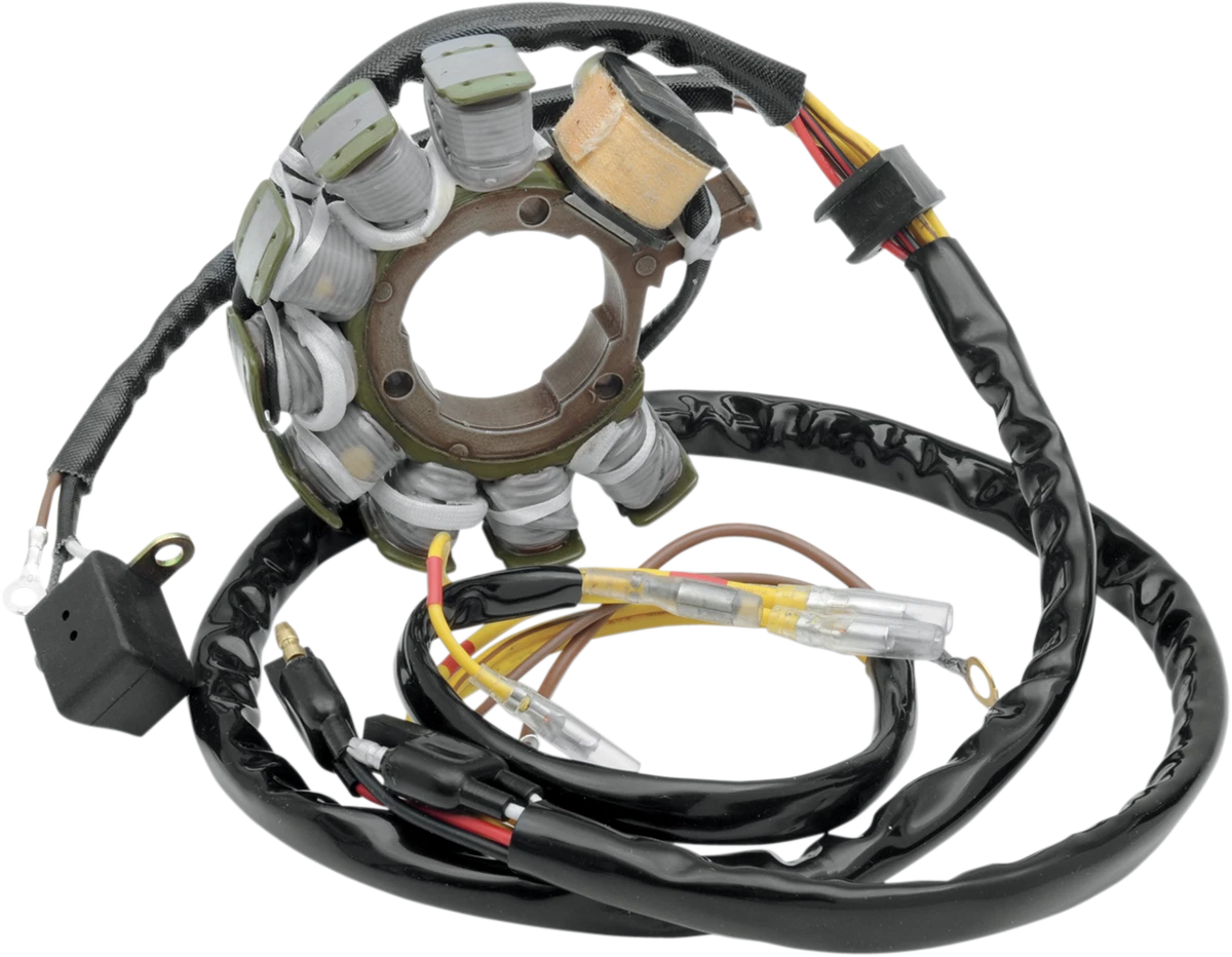 Stator for Rick's Motorsport Electric (21-554)