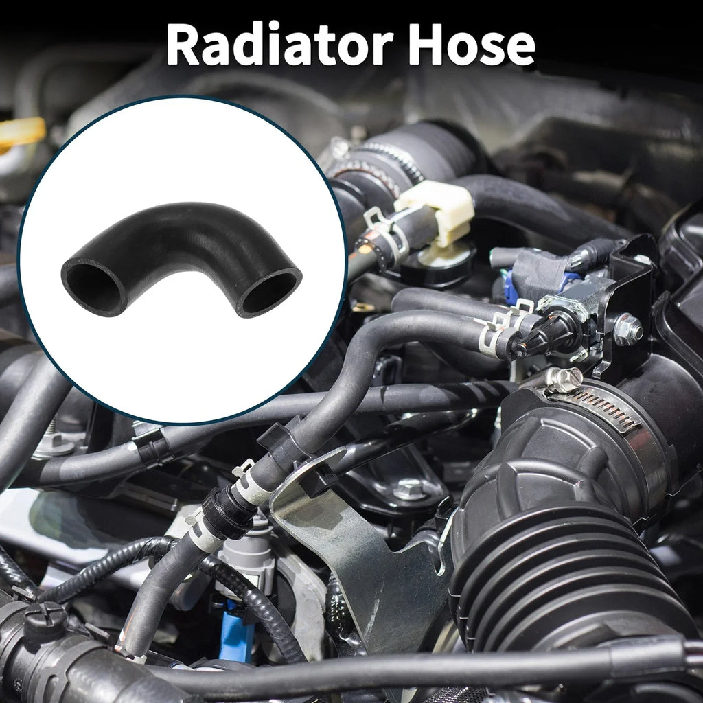 Radiator Hose for BMW 528i (1979-1981)