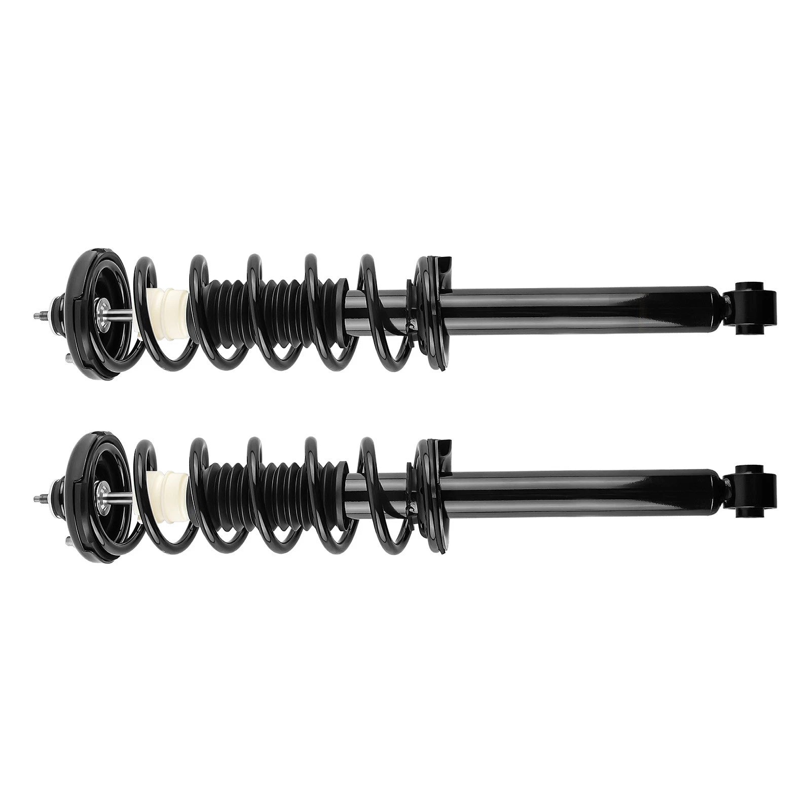 Pair Rear Struts w/Coil Spring Assembly for Acura TSX (2004–2008)