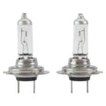 Hella Multi-Purpose Light Bulb H7P50TB for