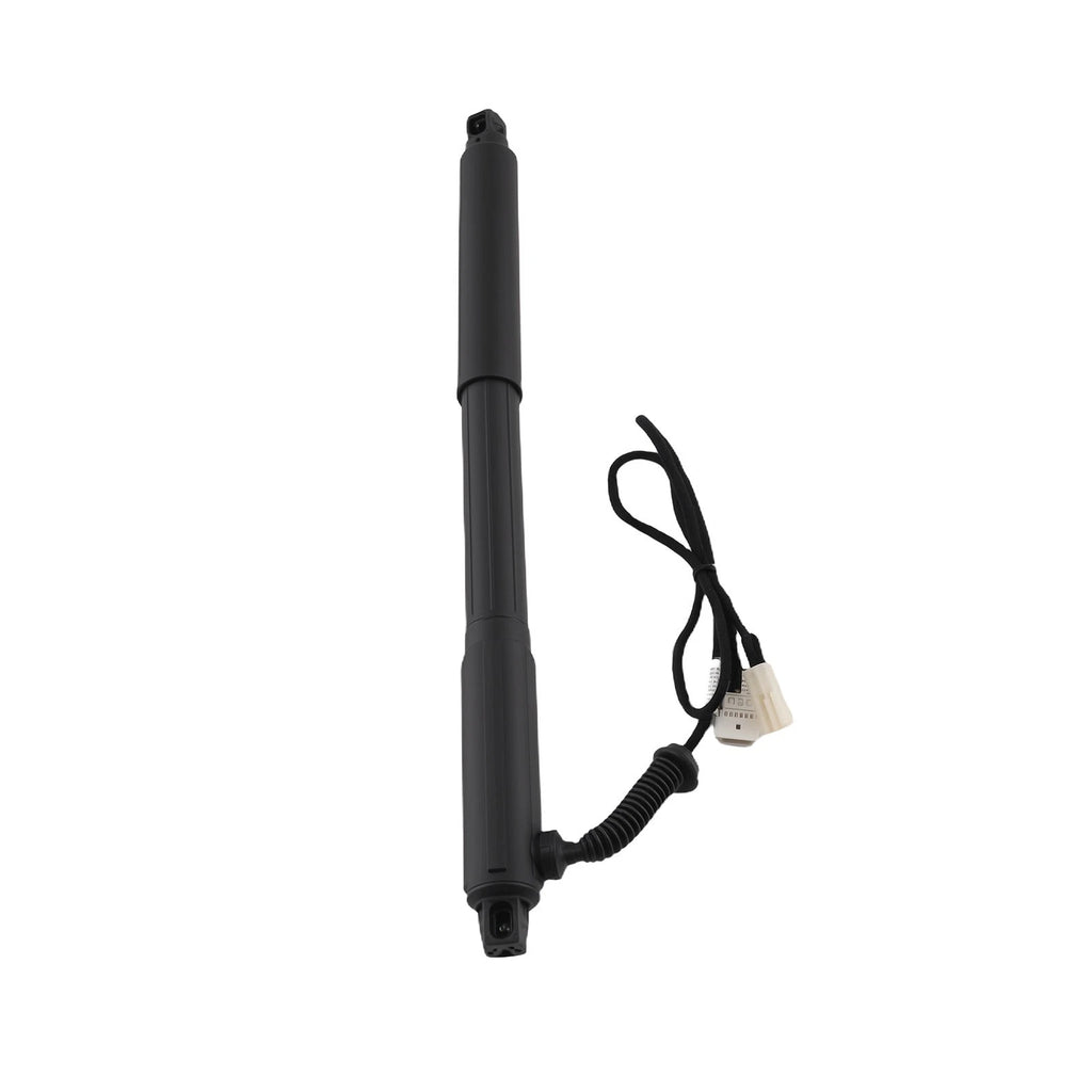 Set of 2 Tailgate Lift Supports for BMW X5 E70 (2007–2013)