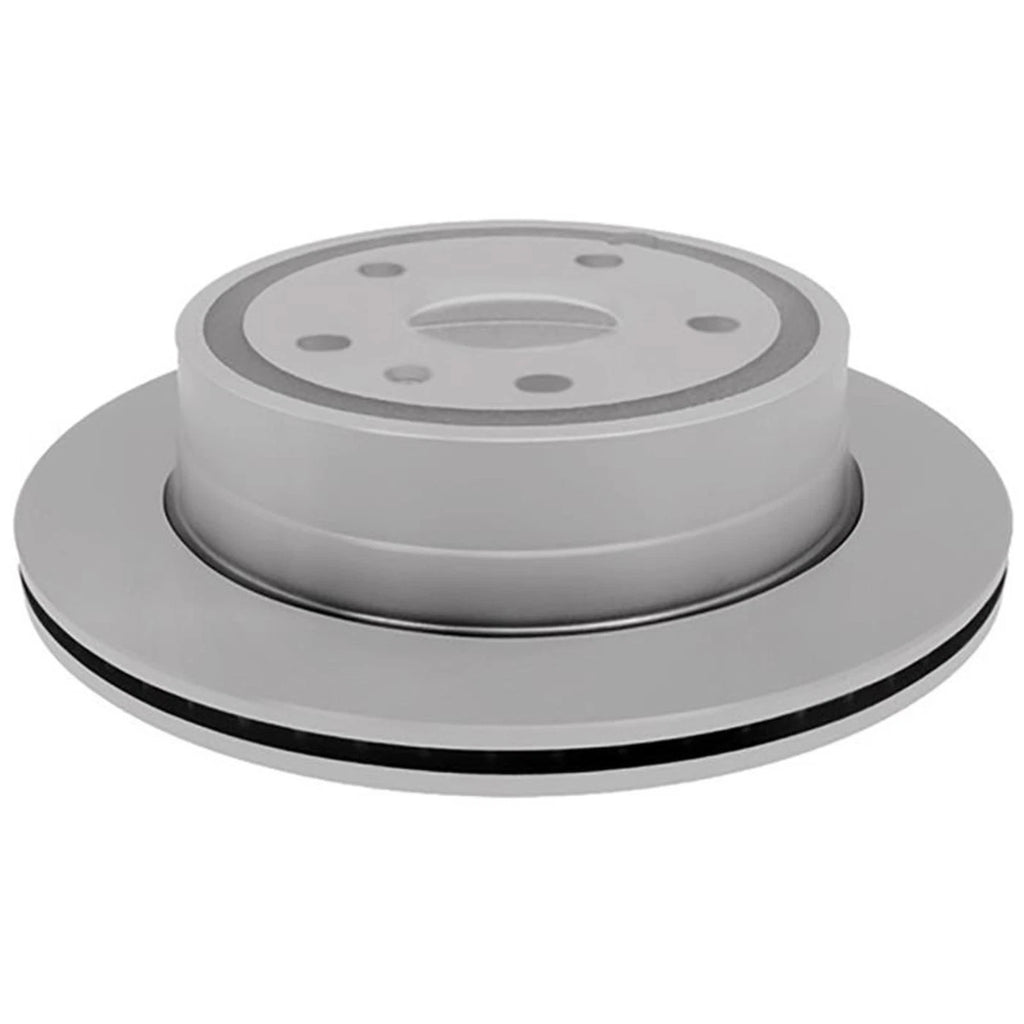 Brake Discs for Chevy Equinox (Rear)