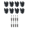 Set of 8 Ignition Coils & Denso Iridium Spark Plugs for Escalade ESV EXT (2002–2020)