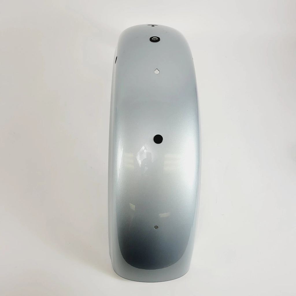 Rear Fender for Harley-Davidson Sportster XL1200NS (2020) Barracuda Silver