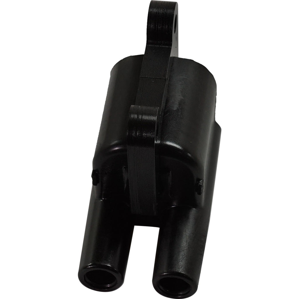 Ignition Coils for Hyundai Santa Fe, Tiburon (2003–2004)