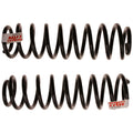 Coil Spring Set for Ford Mustang (2005–2010)