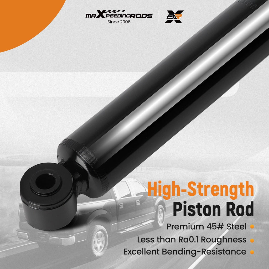 Pair Rear Struts for Hyundai Elantra Coupe (2013-2014)