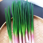 Set of 3 PU Green Onion Models for Teaching and Display